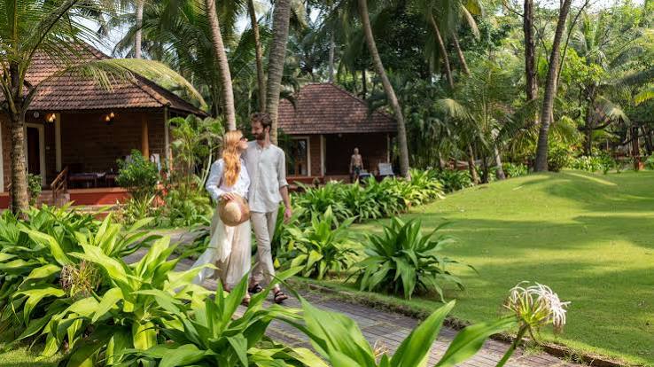 Ayurveda and Wellness